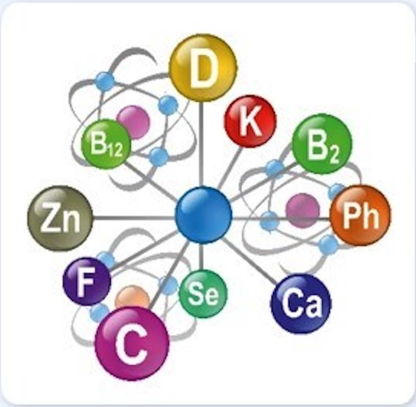Illustration of various vitamins and minerals